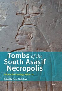 bokomslag Tombs of the South Asasif Necropolis
