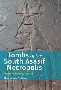 bokomslag Tombs of the South Asasif Necropolis