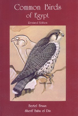Bertel Bruun, Sherif Bahaa El Din - Common Birds of Egypt, Häftad