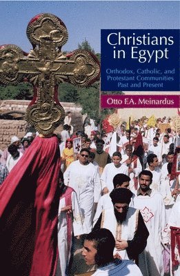 bokomslag Christians in Egypt