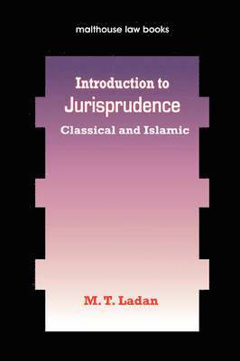 bokomslag Introduction to Jurisprudence