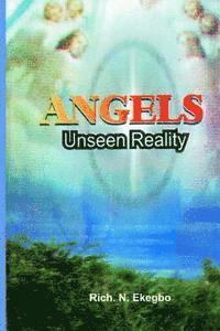bokomslag Angels: Unseen Reality