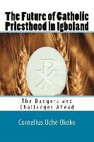 The Future of Catholic Priesthood in Igboland: The Dangers and Challenges Ahead