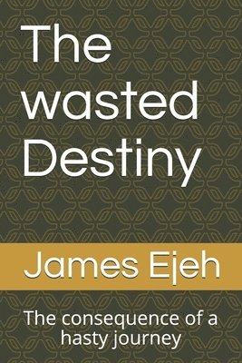 The wasted Destiny: The consequence of a hasty journey 1