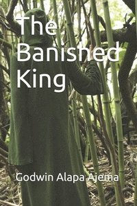 bokomslag The Banished King
