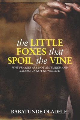 bokomslag The Little Foxes that Spoil the Vine