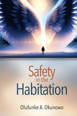 Olufunke A Okunowo, Olufunke A. Okunowo - Safety in the Habitation, Häftad