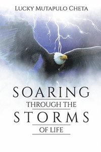 bokomslag Soaring Through the Storms of Life