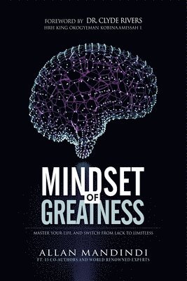 bokomslag Mindset of Greatness