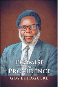 bokomslag Promise and Providence