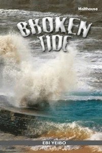 bokomslag Broken Tide