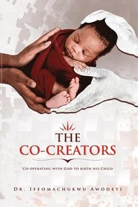 bokomslag Co-creators