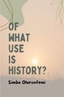 bokomslag Of What Use Is History?