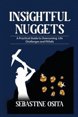 bokomslag Insightful Nuggets