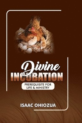 bokomslag Divine Incubation