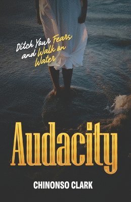 bokomslag Audacity