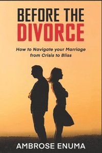 bokomslag Before The Divorce