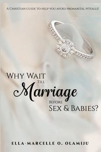 bokomslag Why Wait Till Marriage Before Sex & Babies?