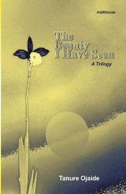 Tanure Ojaide - Beauty I Have Seen. A Trilogy, Häftad