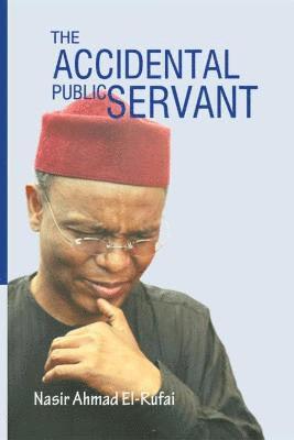 The Accidental Public Servant 1