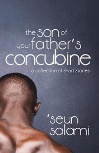 bokomslag The Son of Your Father's Concubine: (a collection of short stories)