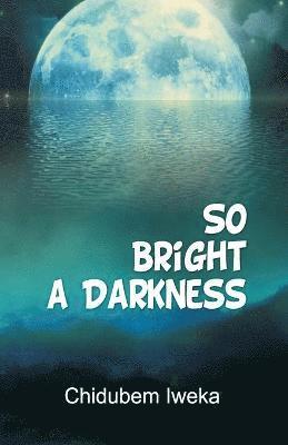 Chidubem Iweka - So Bright a Darkness, Häftad