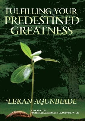 Lekan Agunbiade - Fulfilling Your Predestined Greatness, Häftad