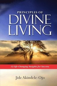 bokomslag Principles of Divine Living: 13 Life Changing Insights for Success