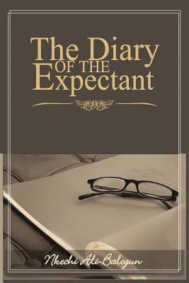 Nkechi Ali-Balogun - The Diary of the Expectant, Häftad
