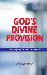 bokomslag God's Divine Provision (31 Days Scriptural Declarations for Provision)