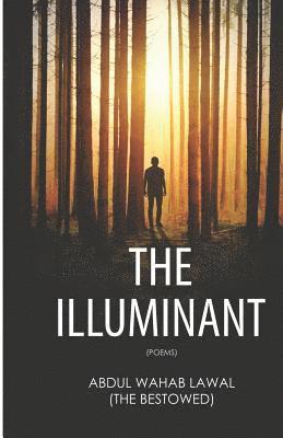 The Illuminant: Poems 1