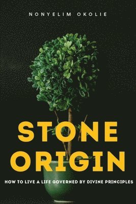 Nonyelim Okolie - Stone Origin: How to live a life governed by divine principles, Häftad