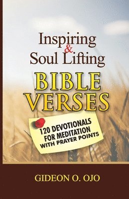 bokomslag Inspiring & Soul Lifting Bible Verses