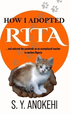 How I Adopted Rita: and endured the pandemic as an unemployed teacher in northern Nigeria 1