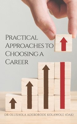 bokomslag Practical Approaches to Choosing a Career