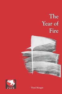 bokomslag Year of Fire