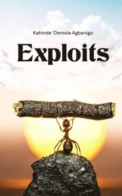 Exploits 1