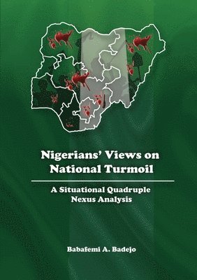 Nigerians' Views on National Turmoil 1