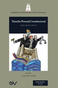 bokomslag Derecho Procesal Constitucional