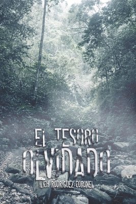 bokomslag Tesoro Olvidado