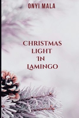 Christmas Light in Lamingo 1