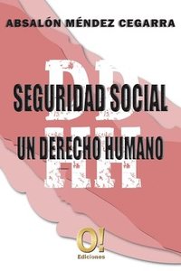 bokomslag Seguridad Social un derecho Humano