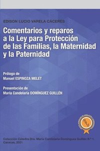 bokomslag Comentarios y reparos a la Ley para Protección de las Familias, la Maternidad y la Paternidad