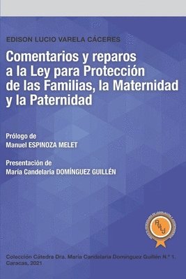 Comentarios y reparos a la Ley para Proteccion de las Familias, la Maternidad y la Paternidad 1