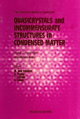 bokomslag Quasicrystals And Incommensurate Structures In Condensed Matter - Proceedings Of The Third International Meeting On Quasicrystals