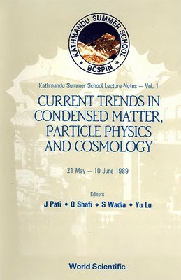 bokomslag Current Trends In Condensed Matter, Particle Physics And Cosmology - Proceedings Of The First Bcspin Kathmandu Summer School