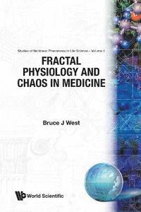 bokomslag Fractal Physiology And Chaos In Medicine