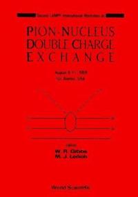 bokomslag Pion-nucleus Double Charge Exchange - 2nd Lampf Workshop
