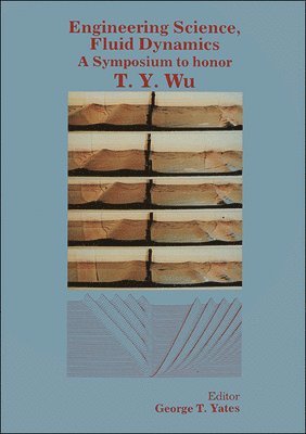 bokomslag Engineering Science, Fluid Dynamics: A Symposium To Honor T Y Wu