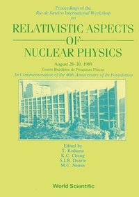 bokomslag Relativistic Aspects Of Nuclear Physics - Rio De Janeiro International Workshop